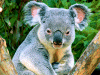 Captcha image 3917