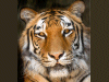 Captcha image 2186