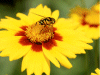 Captcha image 6910