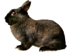 Captcha image 7651